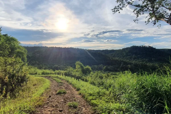 TT-206-PACKAGES, 6D5N-Phnom Penh-Rattanakiri-Mondulkiri-Phnom Penh