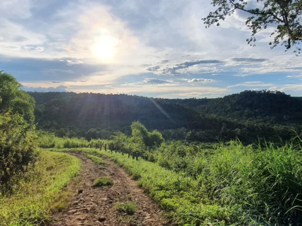 TT-206-PACKAGES, 6D5N-Phnom Penh-Rattanakiri-Mondulkiri-Phnom Penh